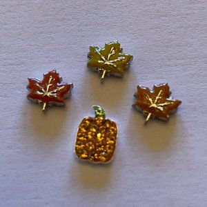 Authentic Origami Owl Thanksgiving Charms!
